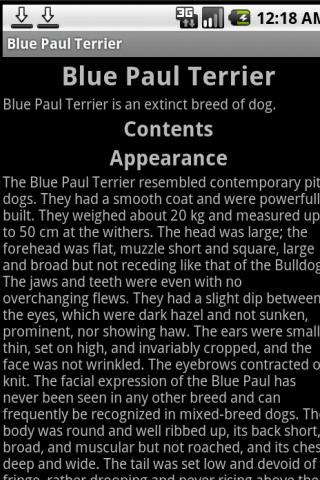 Blue Paul Terrier
